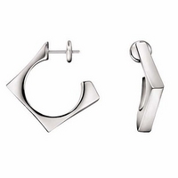 Calvin Klein earrings